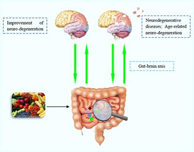 Editorial: Food-polyphenol-induced modulation of neurodegeneration